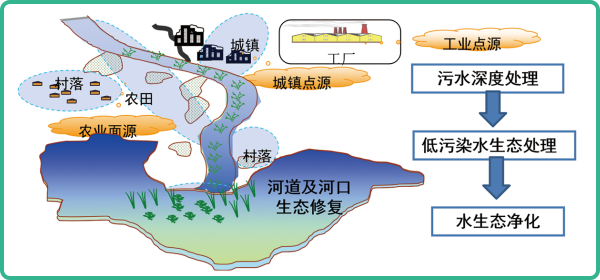 人工濕地，人工濕地建設(shè)